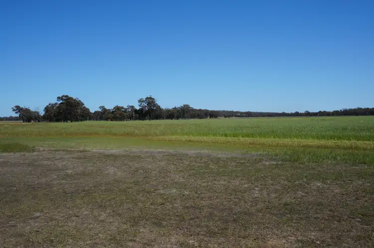 Sixth view of Homely rural property listing, LOT 892 Kokendin Road, Beverley WA 6304