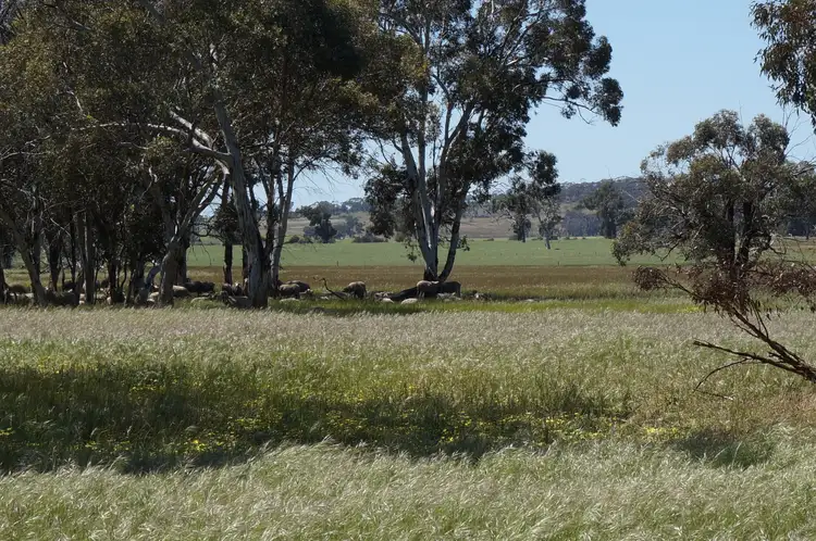 Main view of Homely rural property listing, LOT 893 Kokendin Road, Beverley WA 6304
