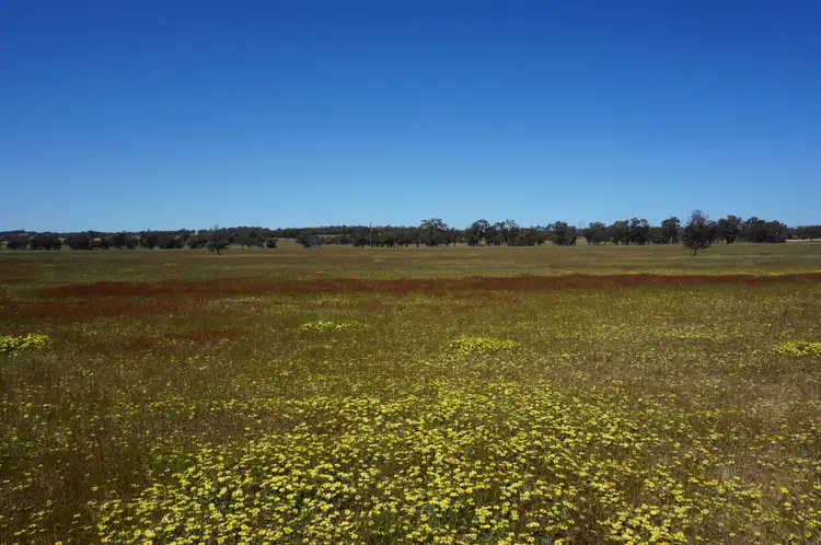 Third view of Homely rural property listing, LOT 893 Kokendin Road, Beverley WA 6304