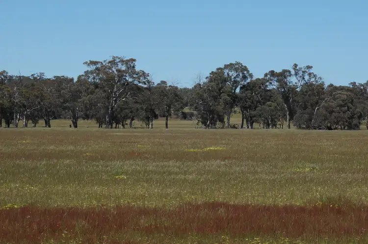 Fifth view of Homely rural property listing, LOT 893 Kokendin Road, Beverley WA 6304