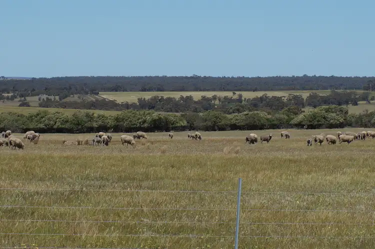 Main view of Homely rural property listing, LOT 8 Maitland Road, Beverley WA 6304