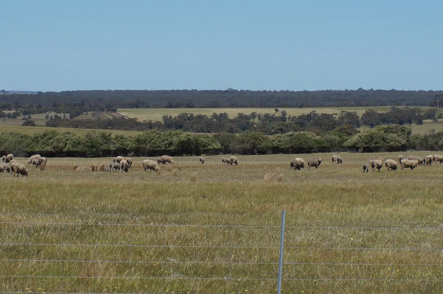 Main view of Homely rural property listing, LOT 8 Maitland Road, Beverley WA 6304