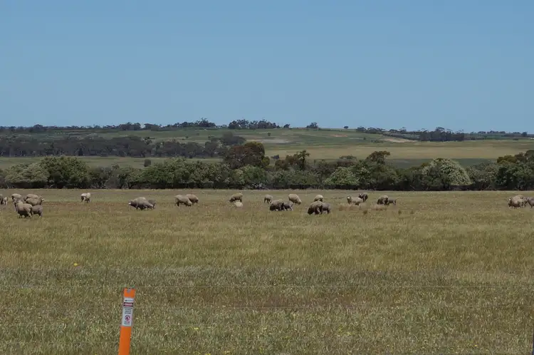 Second view of Homely rural property listing, LOT 8 Maitland Road, Beverley WA 6304