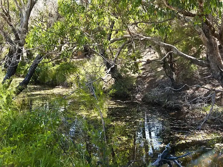 Seventh view of Homely land listing, 31 Armstrong Road, Kelmscott WA 6111