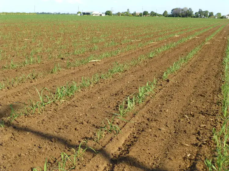 Third view of Homely rural property listing, Address available on request