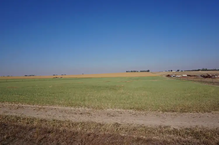 Second view of Homely rural property listing, 97 Eddy Street, Dowerin WA 6461