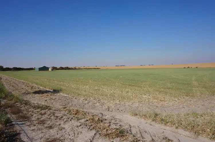 Second view of Homely rural property listing, 96 Eddy Street, Dowerin WA 6461