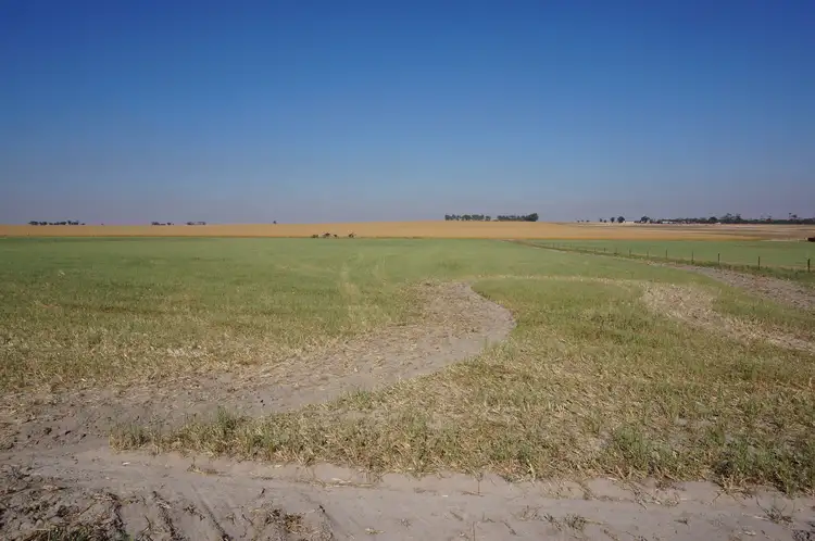 Third view of Homely rural property listing, 96 Eddy Street, Dowerin WA 6461