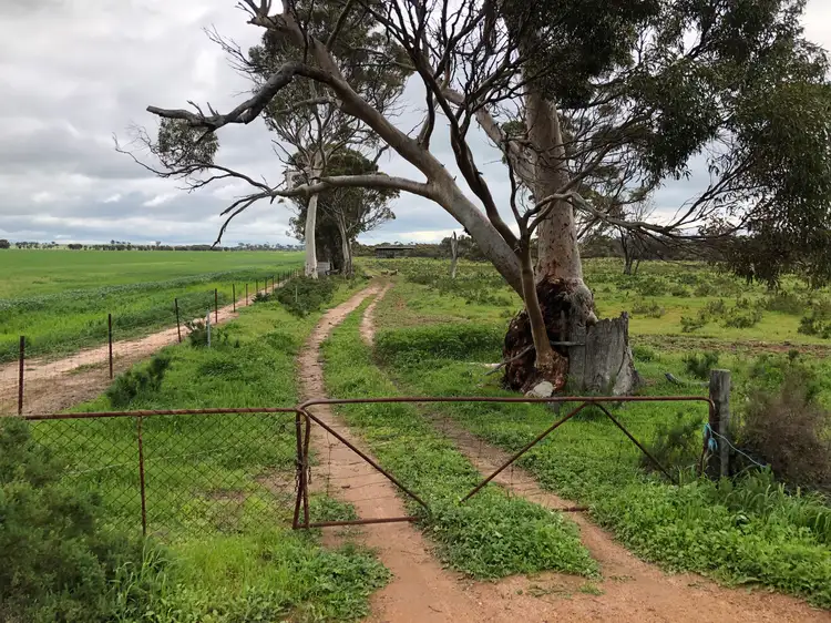 Second view of Homely rural property listing, 222 Goldfields Road, Dowerin WA 6461