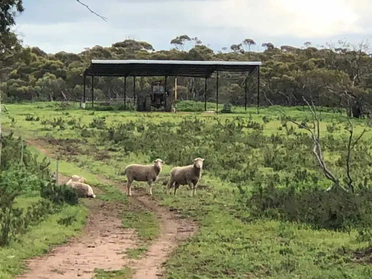 Third view of Homely rural property listing, 222 Goldfields Road, Dowerin WA 6461