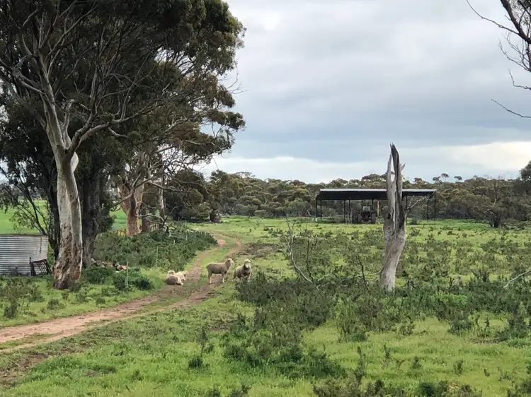 Fourth view of Homely rural property listing, 222 Goldfields Road, Dowerin WA 6461