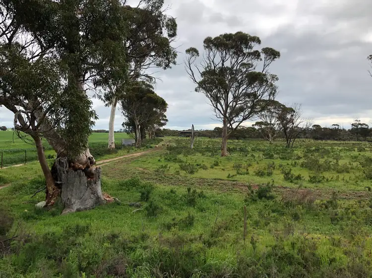 Fifth view of Homely rural property listing, 222 Goldfields Road, Dowerin WA 6461