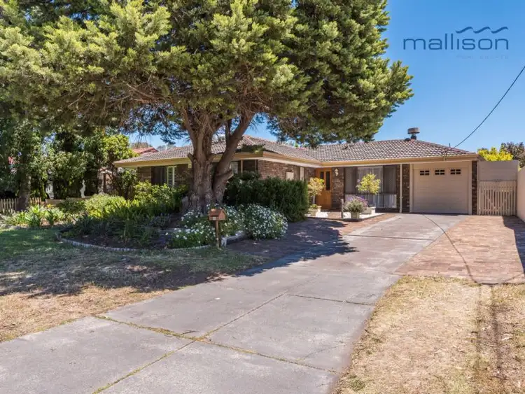 Seventh view of Homely house listing, 66 Connemara Drive, Thornlie WA 6108