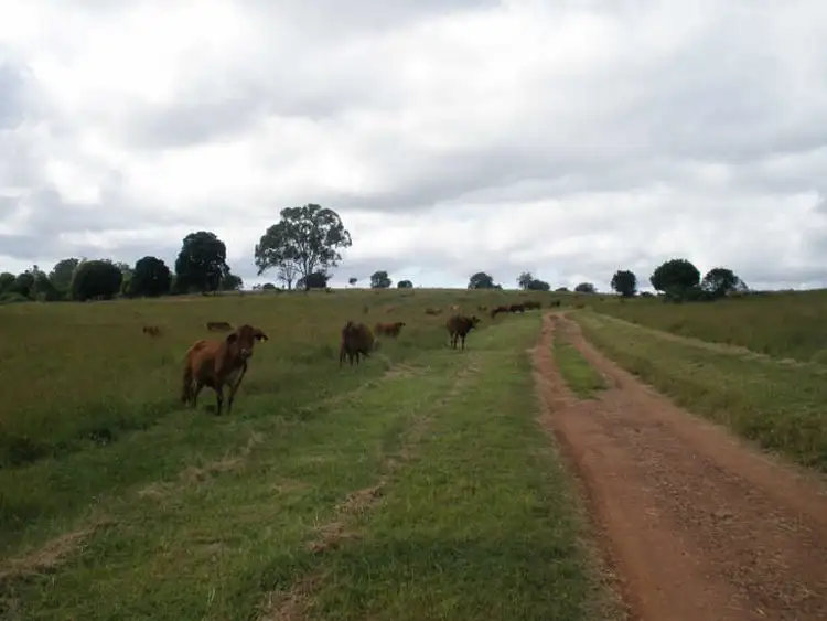 Fourth view of Homely rural property listing, 198 Spencers Road, Kingaroy QLD 4610