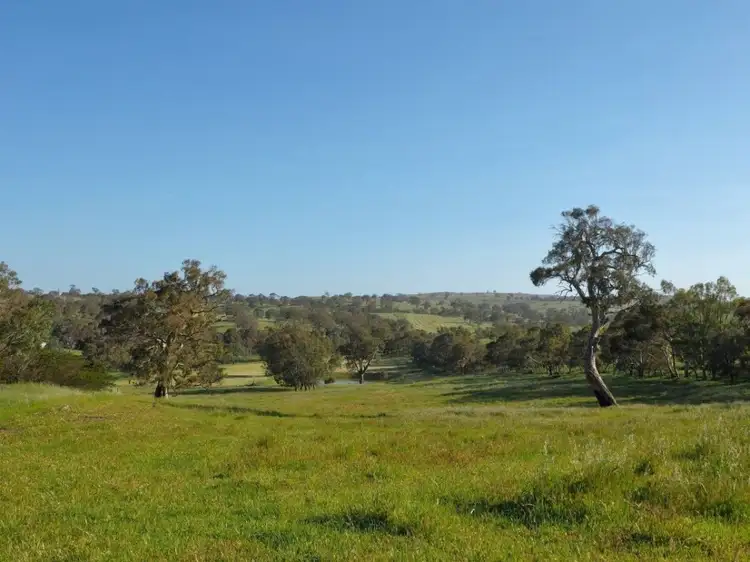 Main view of Homely land listing, LOT 18, 299 Collins Road, Tungkillo SA 5236
