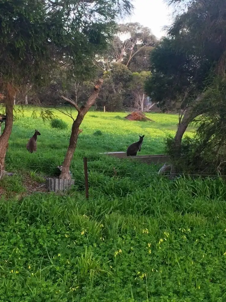 Seventh view of Homely land listing, 1 Panorama Crescent, Normanville SA 5204