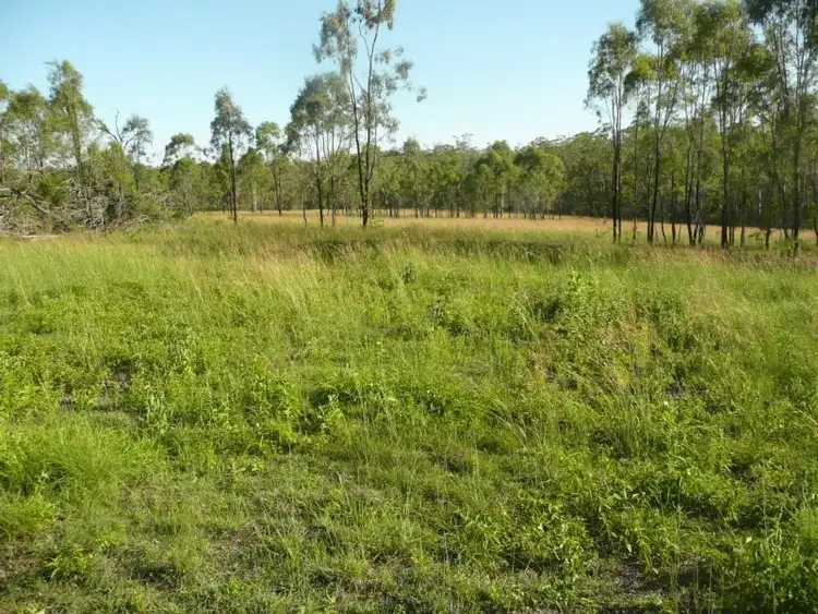 Sixth view of Homely rural property listing, 257 Svenssons Road, Booyal QLD 4671