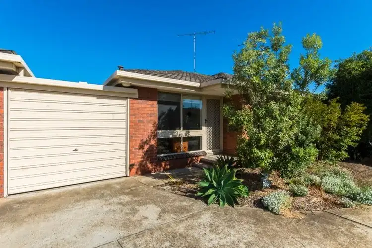 3/49 Mervyn Street, Newtown VIC 3220