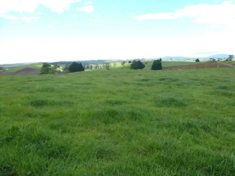 Seventh view of Homely rural property listing, * Thomas Street, Scottsdale TAS 7260