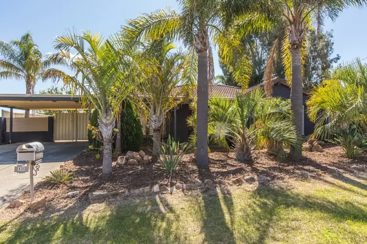 11 Sapling Way, Hocking WA 6065