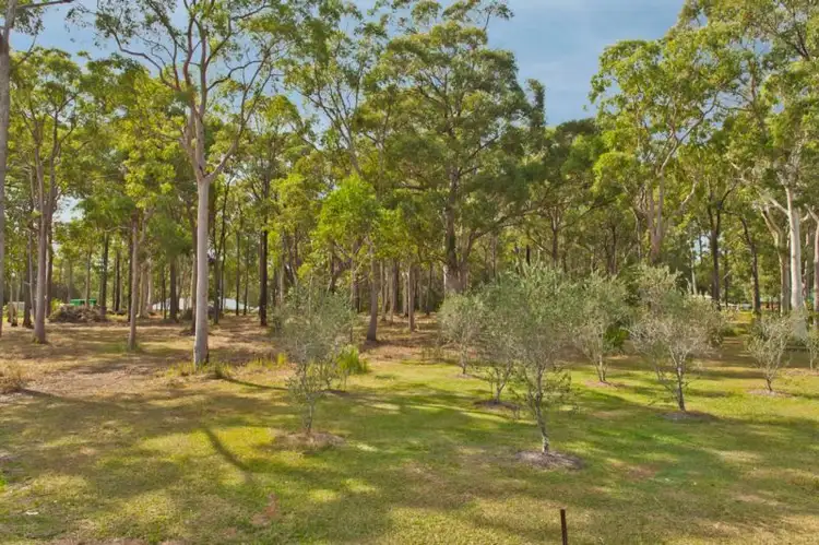 Second view of Homely land listing, 16A Mahogany Place, Medowie NSW 2318