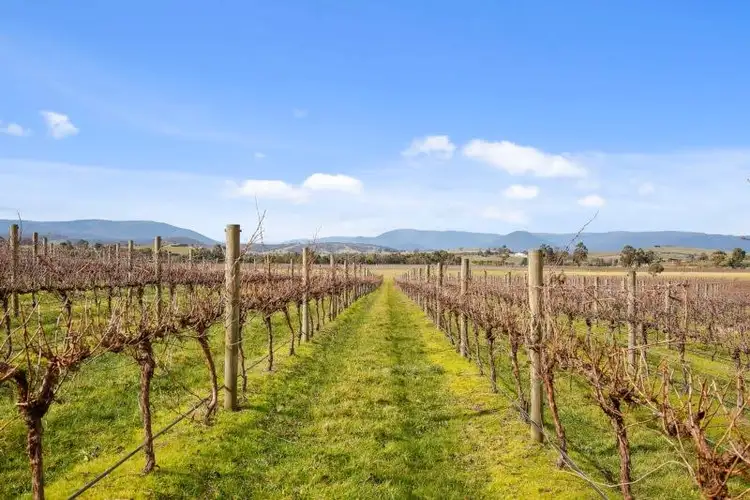 Third view of Homely house listing, 67 Henderson Road, Yarra Glen VIC 3775