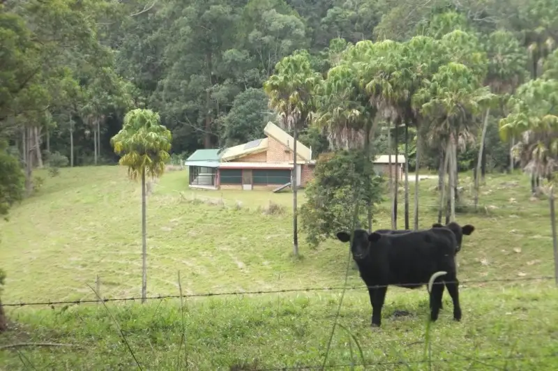 Main view of Homely house listing, 52 Hawk Road, Newee Creek NSW 2447