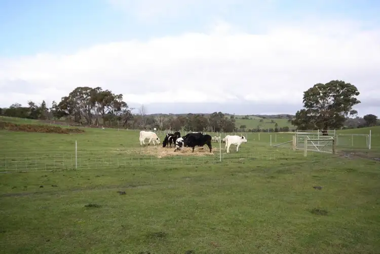 Sixth view of Homely land listing, 193 Amphitheatre Road, Raglan VIC 3373