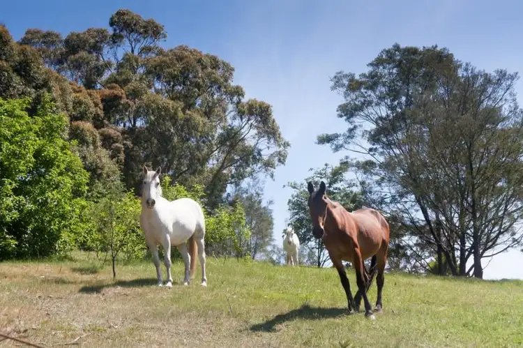 Fourth view of Homely house listing, 65 Cleves Road South, Whittlesea VIC 3757