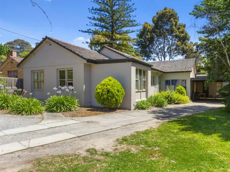 Main view of Homely house listing, 171 Canterbury Road, Blackburn VIC 3130