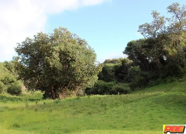 Main view of Homely land listing, 7, WOORAK AVE, Venus Bay VIC 3956
