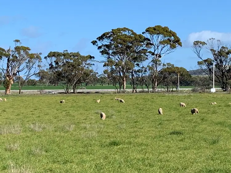 Seventh view of Homely land listing, 39 Dovey Court, York WA 6302