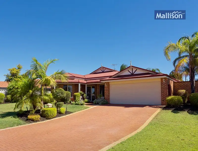 Main view of Homely house listing, 31 Feltbush Mews, Canning Vale WA 6155