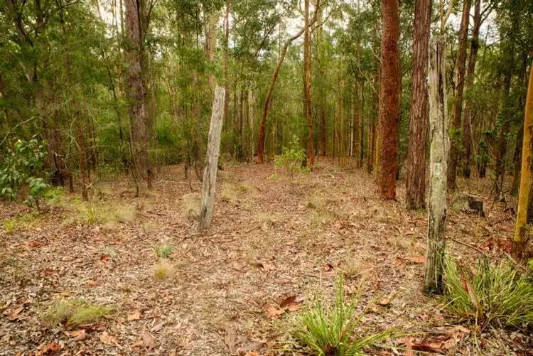 Second view of Homely land listing, LOT 107 Duns Creek Road, Duns Creek NSW 2321