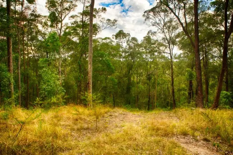 Third view of Homely land listing, LOT 107 Duns Creek Road, Duns Creek NSW 2321