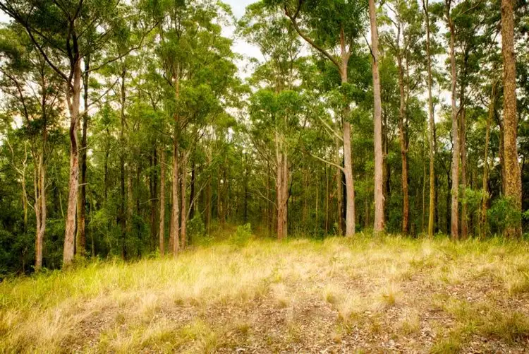 Fourth view of Homely land listing, LOT 107 Duns Creek Road, Duns Creek NSW 2321