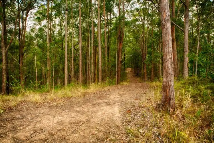 Fifth view of Homely land listing, LOT 107 Duns Creek Road, Duns Creek NSW 2321