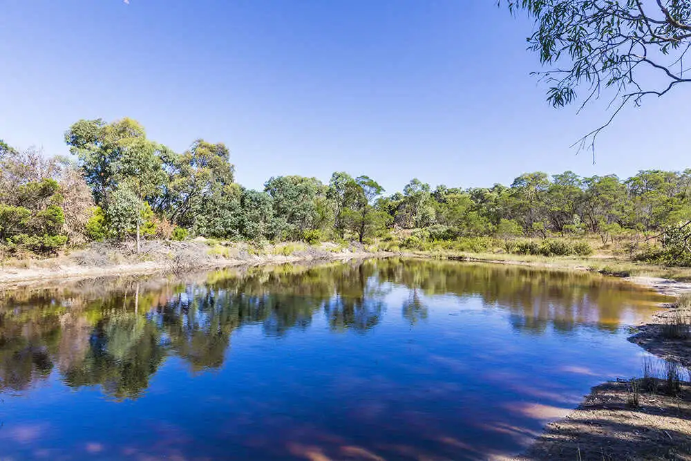 Main view of Homely house listing, 5202 Gundaroo Road, Bellmount Forest NSW 2581