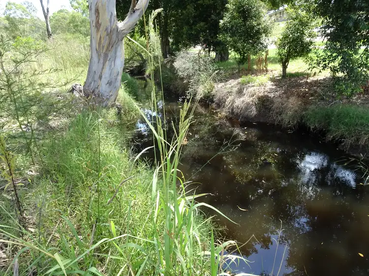 Sixth view of Homely rural property listing, 1361 Clarencetown Road, Seaham NSW 2324