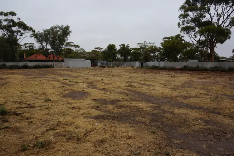 Second view of Homely land listing, 34 Draper Street, Tammin WA 6409