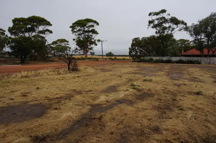 Third view of Homely land listing, 34 Draper Street, Tammin WA 6409