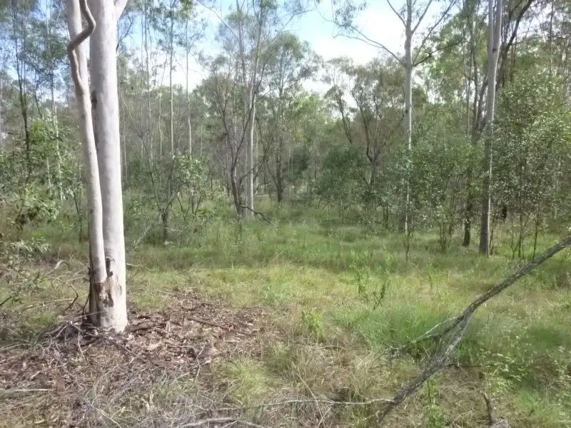 Main view of Homely rural property listing, LOT 1 ROWS ROAD, Duingal QLD 4671