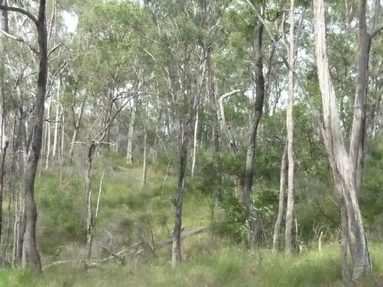 Third view of Homely rural property listing, LOT 1 ROWS ROAD, Duingal QLD 4671
