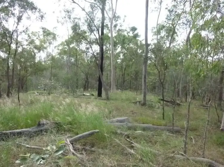 Fourth view of Homely rural property listing, LOT 1 ROWS ROAD, Duingal QLD 4671