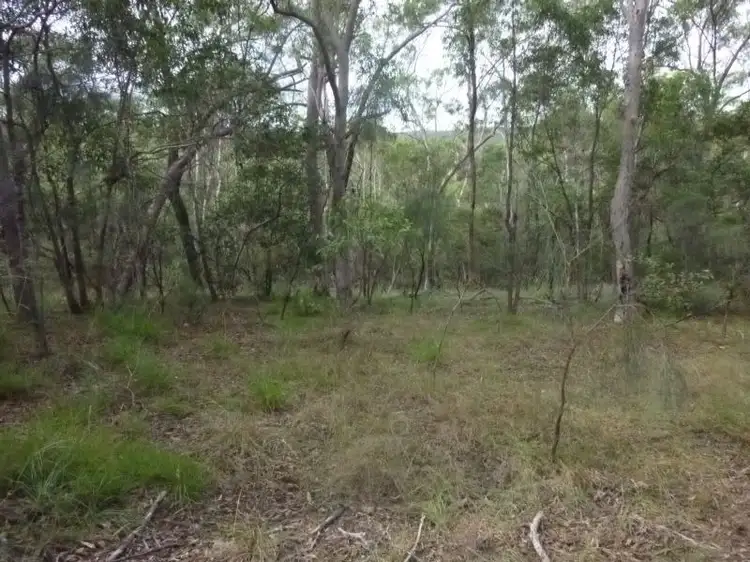 Fifth view of Homely rural property listing, LOT 1 ROWS ROAD, Duingal QLD 4671