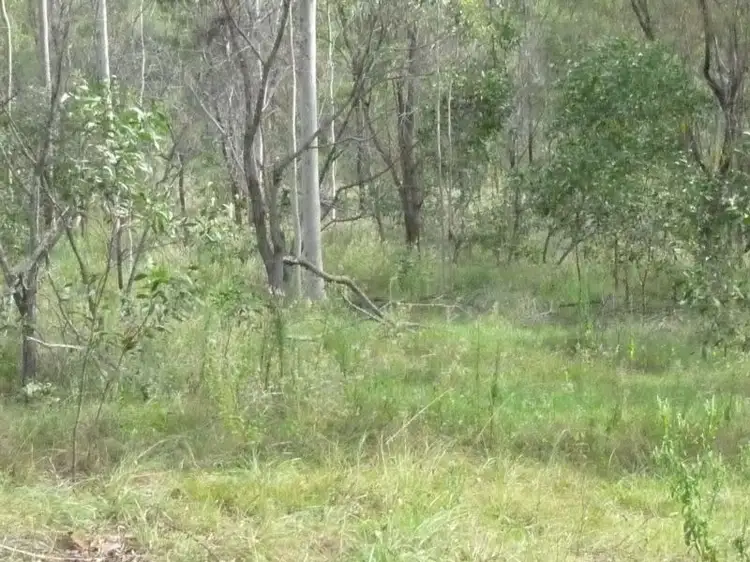 Sixth view of Homely rural property listing, LOT 1 ROWS ROAD, Duingal QLD 4671
