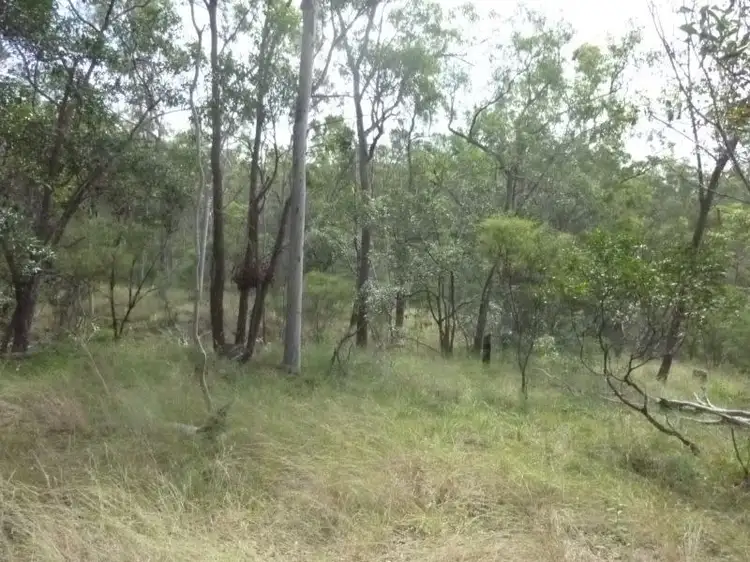 Seventh view of Homely rural property listing, LOT 1 ROWS ROAD, Duingal QLD 4671
