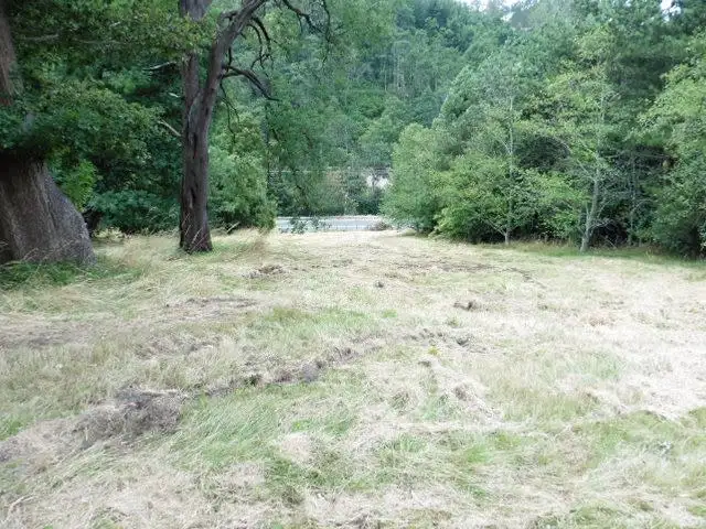 Second view of Homely land listing, 2 Main Street, Derby TAS 7264