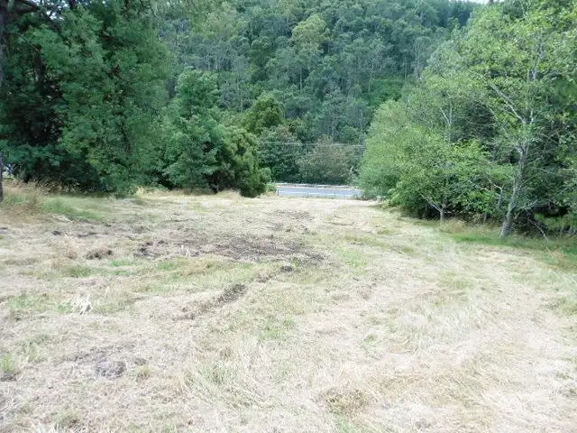 Fifth view of Homely land listing, 2 Main Street, Derby TAS 7264