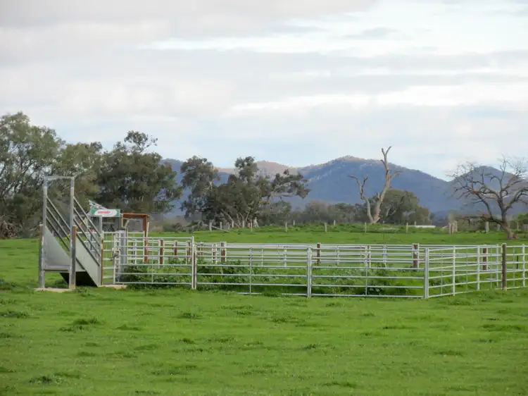 Sixth view of Homely rural property listing, CNR Wangaratta-Whitfield Road & Furlans Lane, Docker VIC 3678